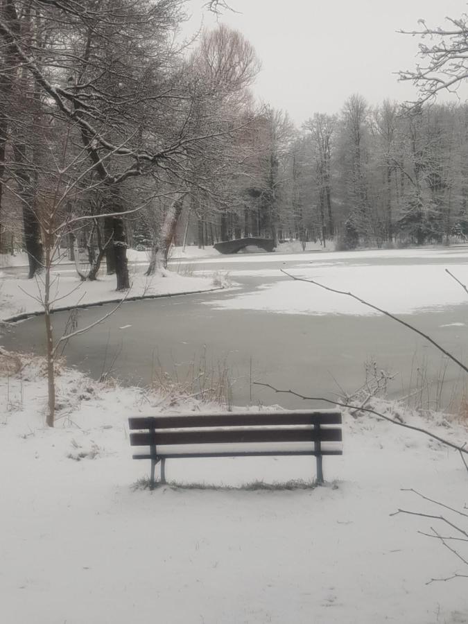 Pokoje Gościnne Uzdrovisco Cieplice Jelenia Góra Zewnętrze zdjęcie