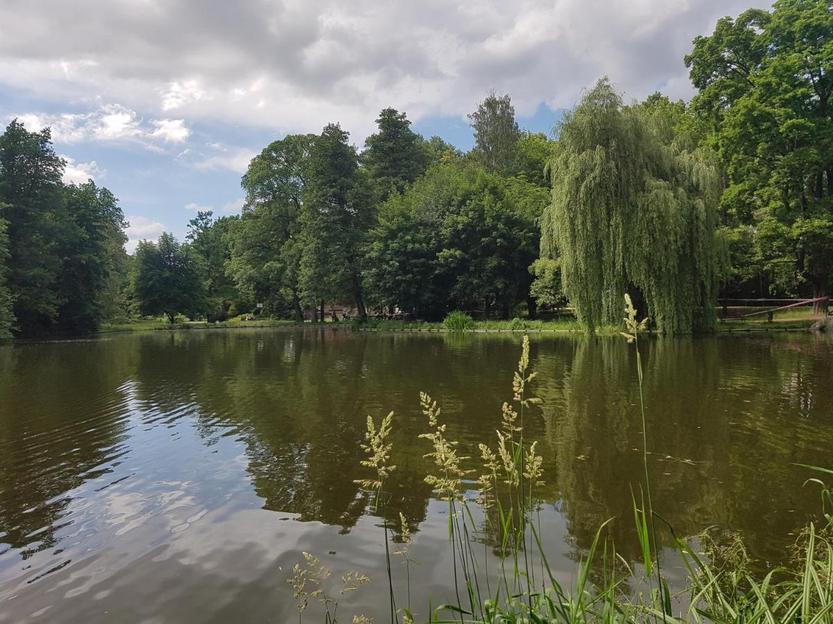 Pokoje Gościnne Uzdrovisco Cieplice Jelenia Góra Zewnętrze zdjęcie