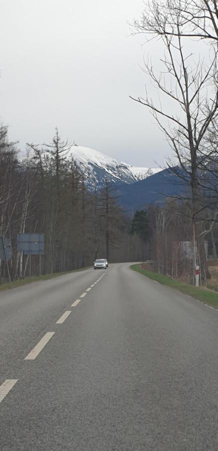 Pokoje Gościnne Uzdrovisco Cieplice Jelenia Góra Zewnętrze zdjęcie